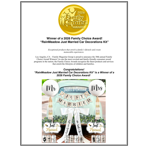 Just Married Car Decorations Kit