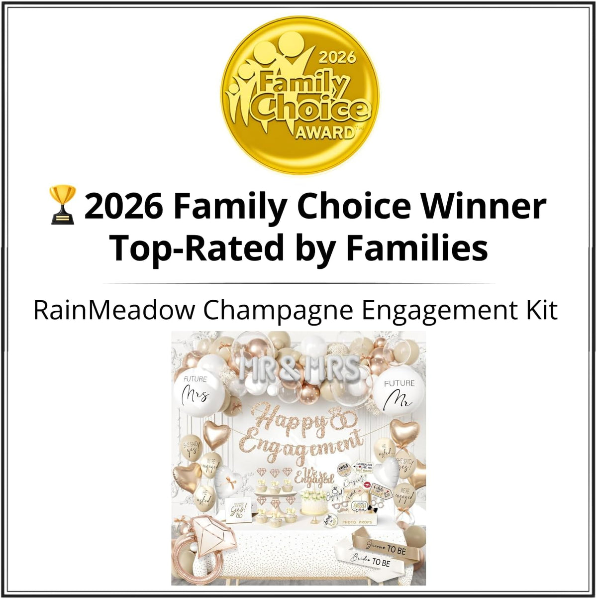 Engagement Party Decorations Kit