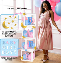 191 PC Premium Twinkle Twinkle Little Star Gender Reveal Decorations