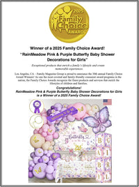 Butterfly Baby Shower Decorations for Girl