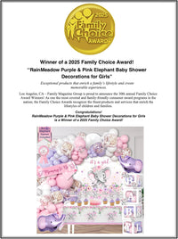 169 pc Premium Pink Elephant Baby Shower Decorations Girl