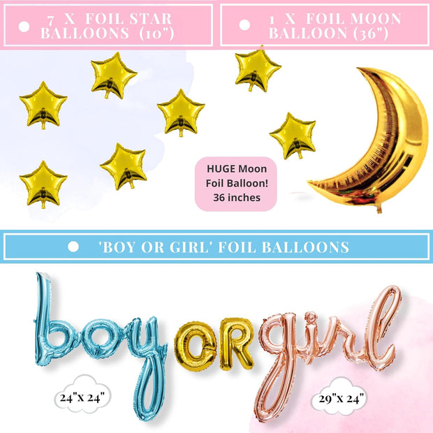 Twinkle Twinkle Little Star Gender Reveal Decorations