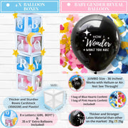 Twinkle Twinkle Little Star Gender Reveal Decorations
