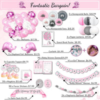 Girl Baby Shower Decorations | Elephant Theme