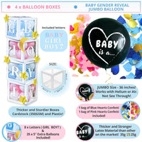 191 PC Premium Twinkle Twinkle Little Star Gender Reveal Decorations
