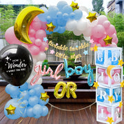Twinkle Twinkle Little Star Gender Reveal Decorations