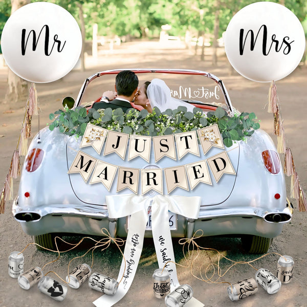 Just Married Car Decorations Kit